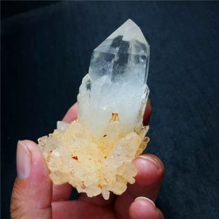 146 g Rare Natural bone crystal,  mineral specimens,  Inner Mongolia A92 4