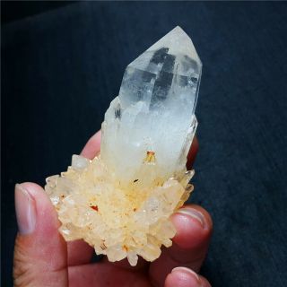 146 g Rare Natural bone crystal,  mineral specimens,  Inner Mongolia A92 5