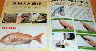 How To Gut And Fillet A Fish In Japanese Food : 47 Kinds Fish Book 0507
