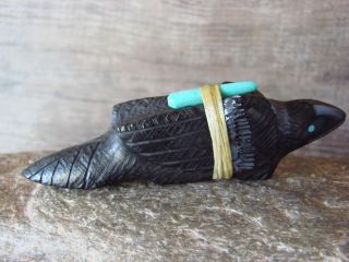 Zuni Indian Hand Carved Jet Raven Fetish by Herbert Halate Native America FF275 3