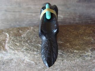 Zuni Indian Hand Carved Jet Raven Fetish by Herbert Halate Native America FF275 4