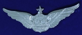 Washington Dc Metropolitan Police Air Aviation Unit Airline Wing W - 1