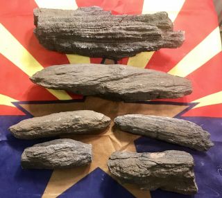 Reilly’s Rocks: Unique Arizona Petrified Iron Wood,  Blue Hills,  Saint Johns Az.