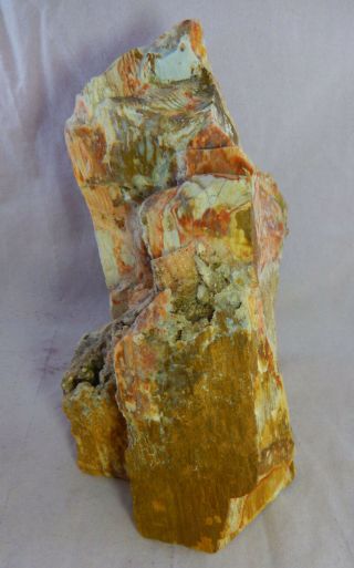 Arizona Petrified Wood Rock W/ Quartz Colorful 5 Lb 11 Oz 7 1/2 " X 5 1/2 " X 4 "