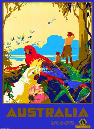 Australia Galah Cockatoo Birds Vintage Australian Travel Poster Advertisement