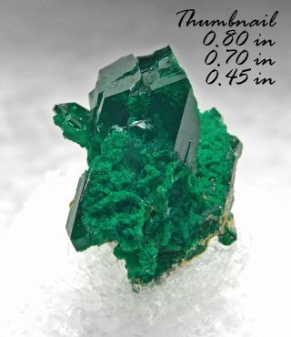 Dioptase Namibia Minerals Specimens Crystals Gems - Thn