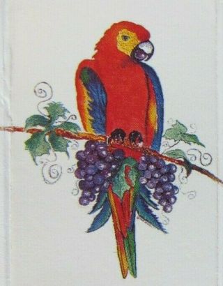 Bird - Parrot: Pappagallo Italian Restaurant (montreal,  Quebec) - G1