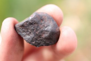 Canyon Diablo Meteorite Individual 13.  4 Grams