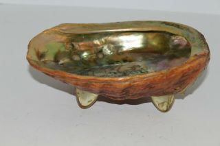 L@@k Natural Large Red Abalone Mother Of Pearl Iridescent Shell/seashell Vtg