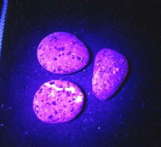 3 Yooperlite Lake Superior Rocks Stones 6.  8 Ounces Glows Under Uv Light (be)