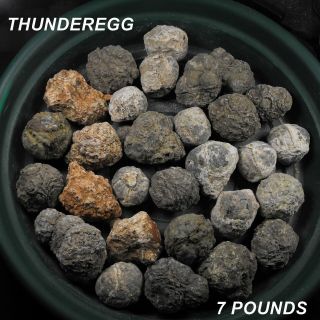 Oregon Thunderegg Agate Great Assortment 7 Pounds