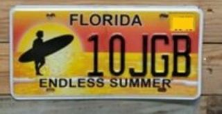 Florida Endless Summer License Plate 10jgb Embossed