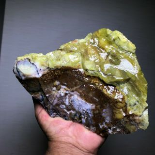 Solid Dendretic Agatized Opal Rough - 4.  5 Lbs From - Africa
