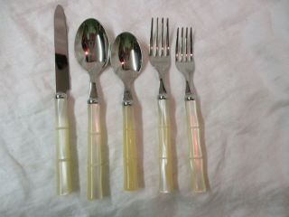 Italy Inox 18/10 Horchow Stainless & Oyster Lucite 5 Pc Place Setting Bamboo