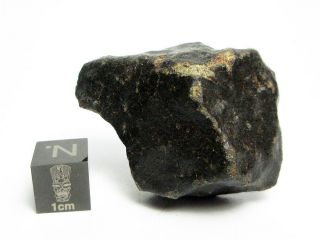 Nwa X Meteorite 27.  39g Fresh Fusion Crusted Fragment