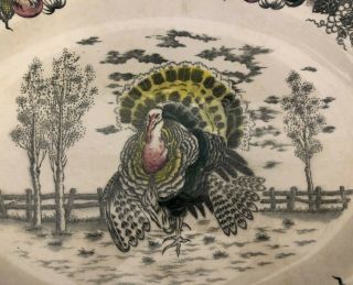 Vintage NSP Ironstone Hand Decorated Turkey Platter - 19in. 2
