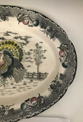 Vintage NSP Ironstone Hand Decorated Turkey Platter - 19in. 3