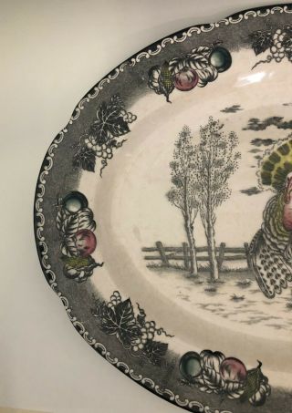 Vintage NSP Ironstone Hand Decorated Turkey Platter - 19in. 4
