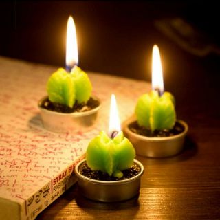 Cactus Candles For Wealth,  Financial Security.  Wicca.  Not Doll Or Jinn