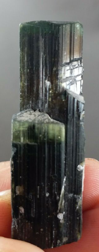 106 Carat Top Quality Double Terminated TOURMALINE Crystal With Albite @Pak 4