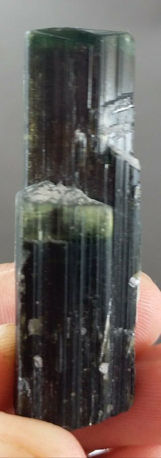 106 Carat Top Quality Double Terminated TOURMALINE Crystal With Albite @Pak 5