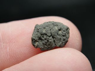 Jbilet Winselwan - Cm2 Carbonaceous Chondrite - Jil - 0092 - 0.  47g W/coa - Beauty