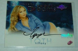 2016 Dg Sd Preview Tiffany Toth Silver Foil Autographed Bench Warmer Card
