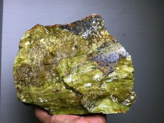 Solid Dendretic Agatized Opal Rough - 11 Lbs From - Africa