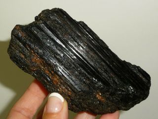 Dino: Black Tourmaline Crystal Natural Specimen Brazil 348 Grams