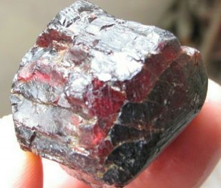 53g1p Natural Red Garnet Crystal Gemstone Rough Stone Mineral Specimen 3