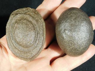 A Larger 100 Natural Moqui Marbles Or Shaman Stones From Utah 217gr E