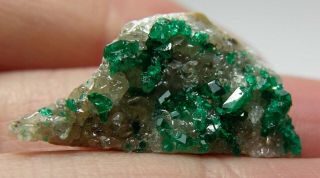 12 15/16 Inch Kazakhstan 100 Natural Dioptase Crystal In Matrix Specimen 24mm