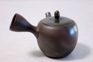 Tokoname Yaki Ware Japanese Tea Pot Gyokko Hai Ceramic Tea Strainear 100ml