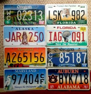 8 Colorful Specialty Optional Graphic License Plates Hobby Craft Letters Signs