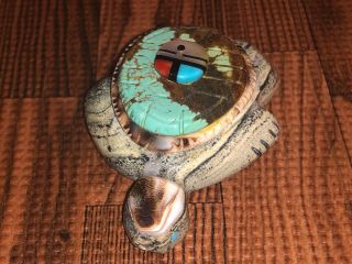 Large Zuni Carved Serpentine & Turquoise Turtle Fetish Signed By Darrin Boone 3