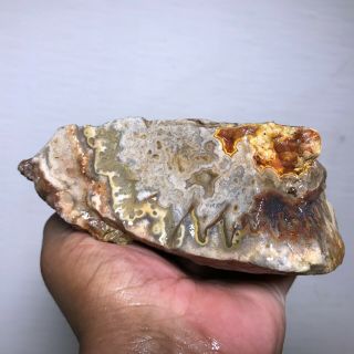 AAA TOP QUALITY CRAZY LACE AGATE 2.  5 LBS FROM BRAZIL 2