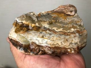AAA TOP QUALITY CRAZY LACE AGATE 2.  5 LBS FROM BRAZIL 4