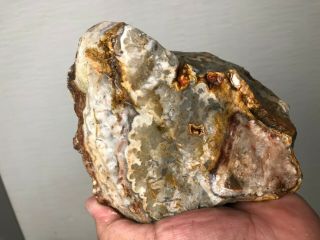 AAA TOP QUALITY CRAZY LACE AGATE 2.  5 LBS FROM BRAZIL 5