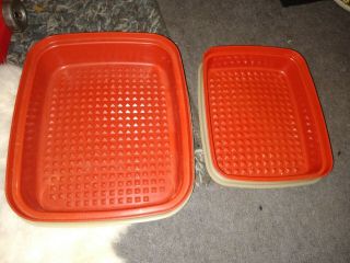 Vintage Meat Marinating Tupperware Set 8 X 10 & 10 X 12 With Lids
