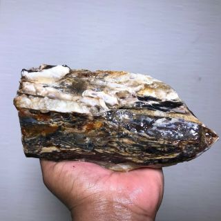 Solid Red Petrified Wood Rough - 2.  5 Pounds From Arizona