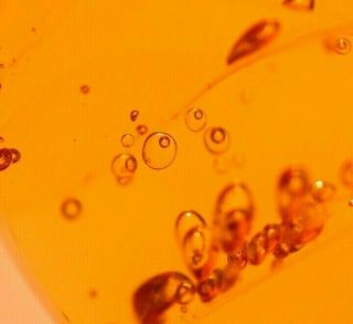 Ancient Water Bubbles With Air Bubbles,  Fly In Authentic Dominican Amber Fossil