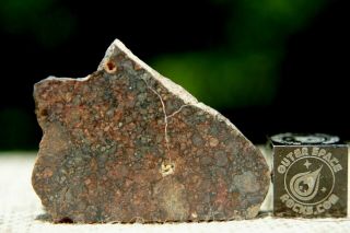Nwa 10699 Ll (l) 3 Primitive Chondrite Meteorite 4g Part Slice Of Rare Type