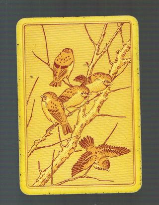 Playing Swap Cards1 Wide Vint English Small Birds Resting Very Early Print Ew33