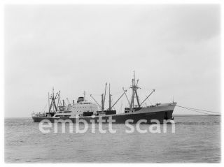 Negative,  Italian Cargo Ship Artemide,  1957