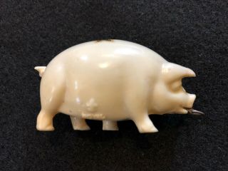 Vintage Celluloid Pig Tape Measure Souvenir From Savin Rock Ct & Extra