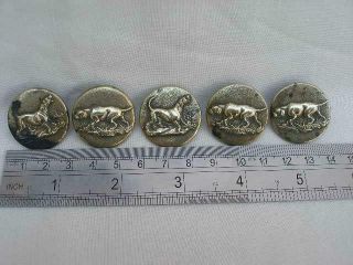 Five Antique Hunting Related Brass Buttons Marked Extra Rich Treble Standard. 4