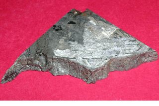 Seymchan Pallasite Meteorite 23.  8 Gram Etched Slice