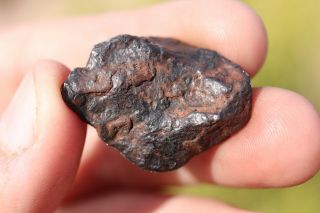 Canyon Diablo Meteorite Individual 10.  2 Grams