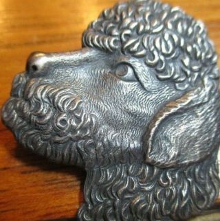 1940s French White Detail " Poodle Dog " Vintage Antique Picture Button