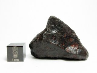 Nwa X Meteorite 31.  63g Remarkable Rock From Space